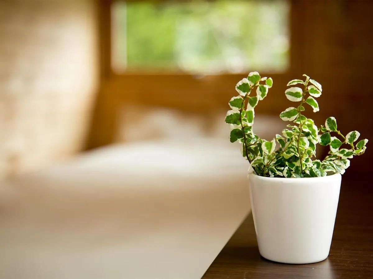 Brick House Furano Daire Japonya