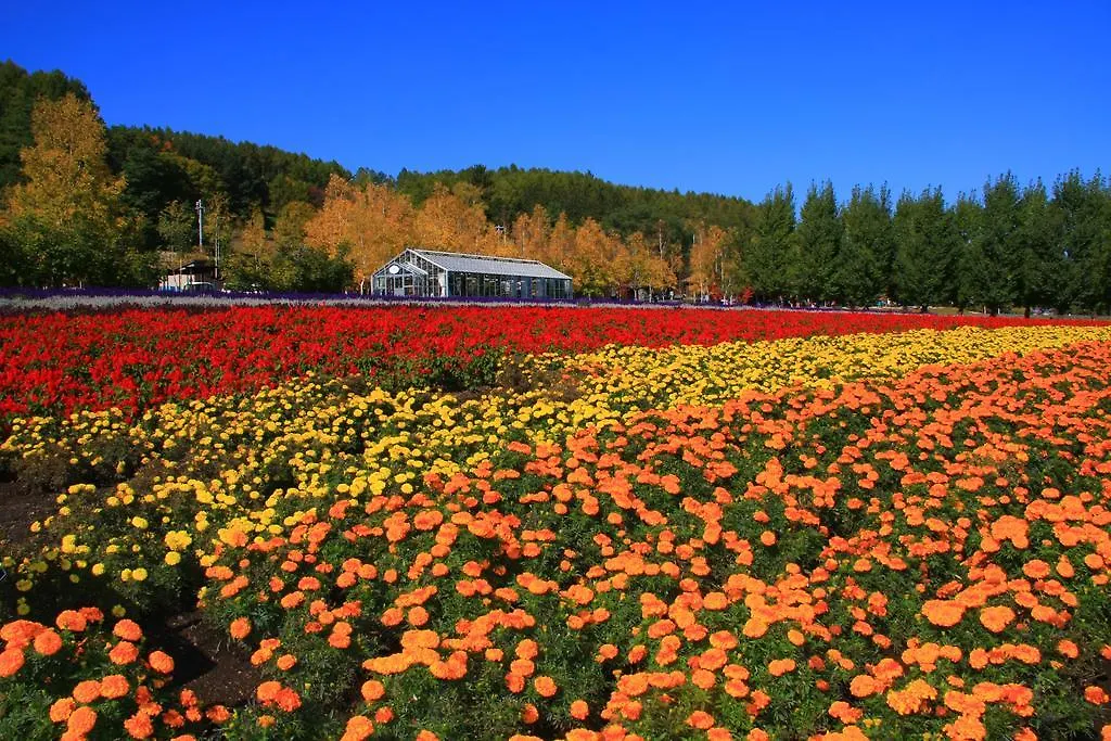 Brick House Furano Daire 0*,