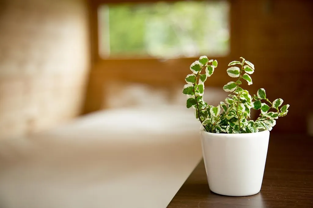 Brick House Furano Daire Japonya